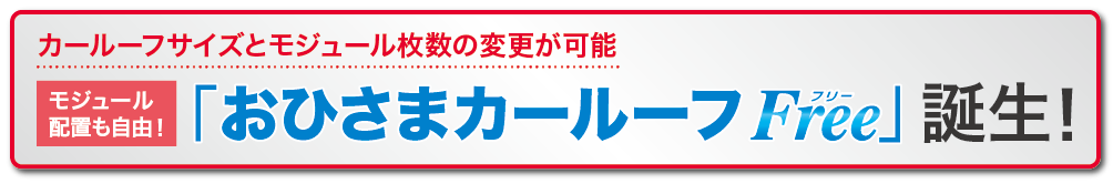 おひさまカールーフFree誕生！